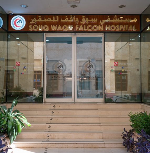 falconhopital